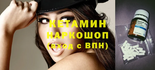 хмурый Аркадак