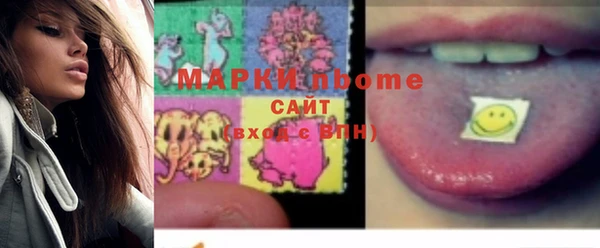 хмурый Аркадак
