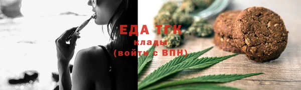 хмурый Аркадак