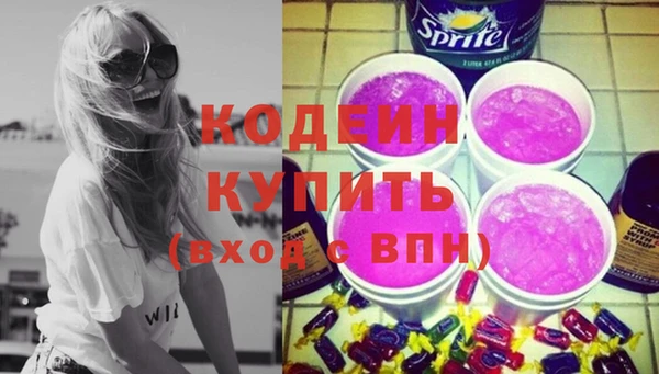 хмурый Аркадак