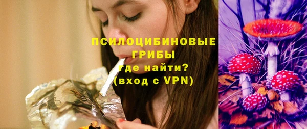 гидра Арсеньев