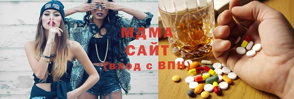 хмурый Аркадак