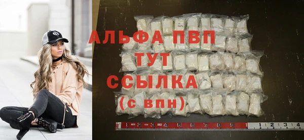 гидра Арсеньев