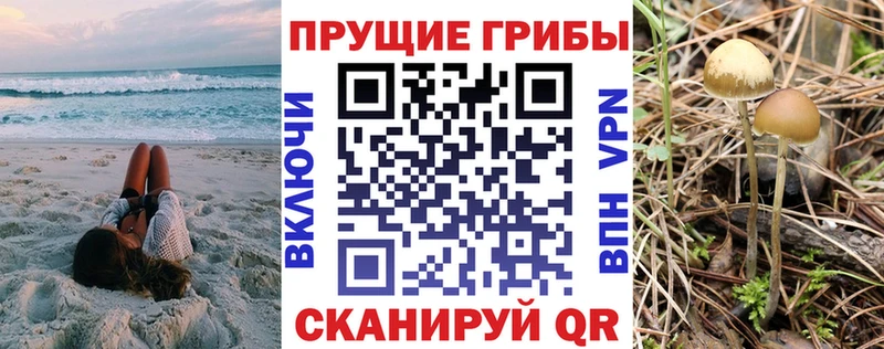 Псилоцибиновые грибы Cubensis закладка Реж